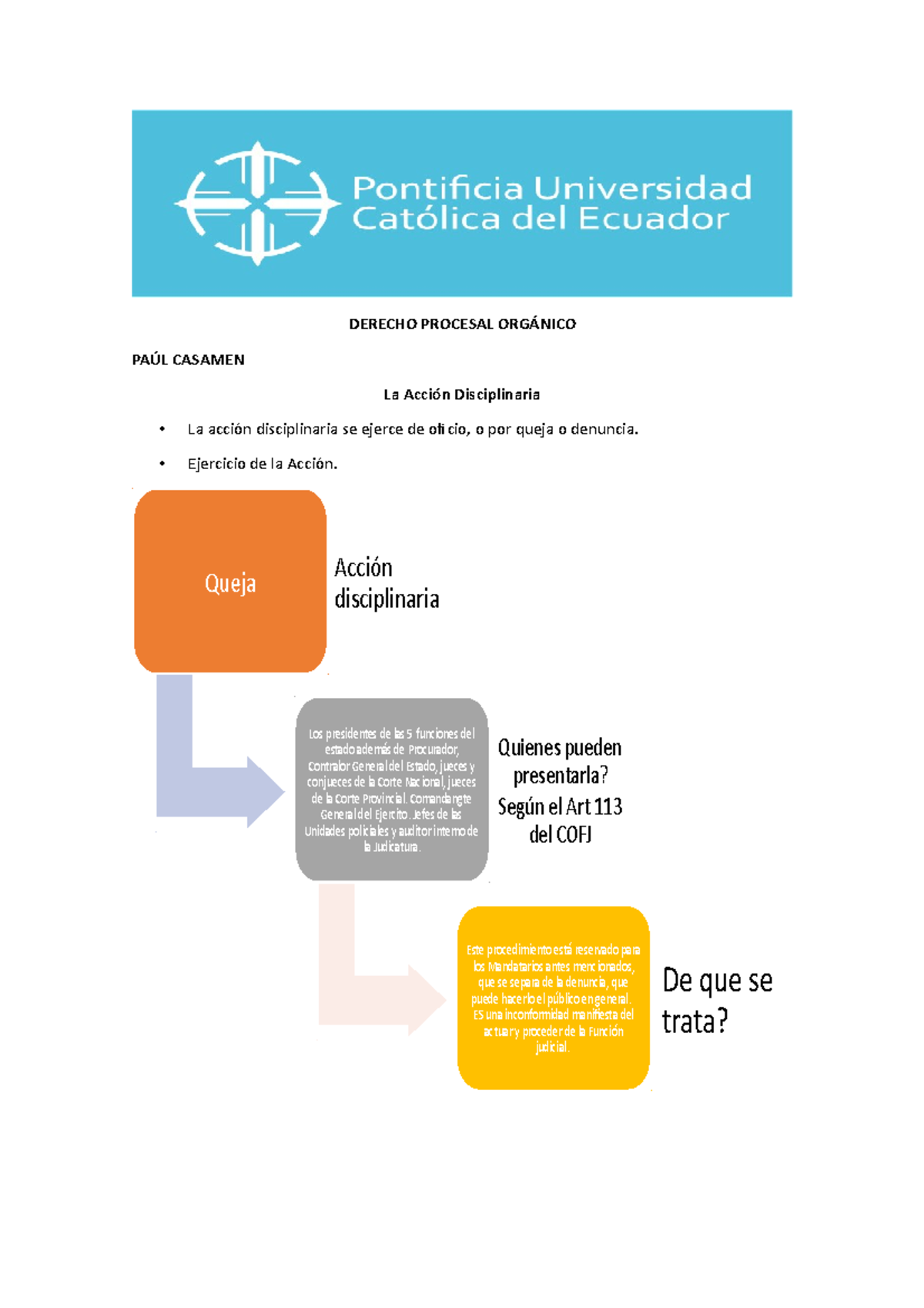 La Acción Disciplinaria - Derecho Procesal Orgánico - PUCE - Studocu
