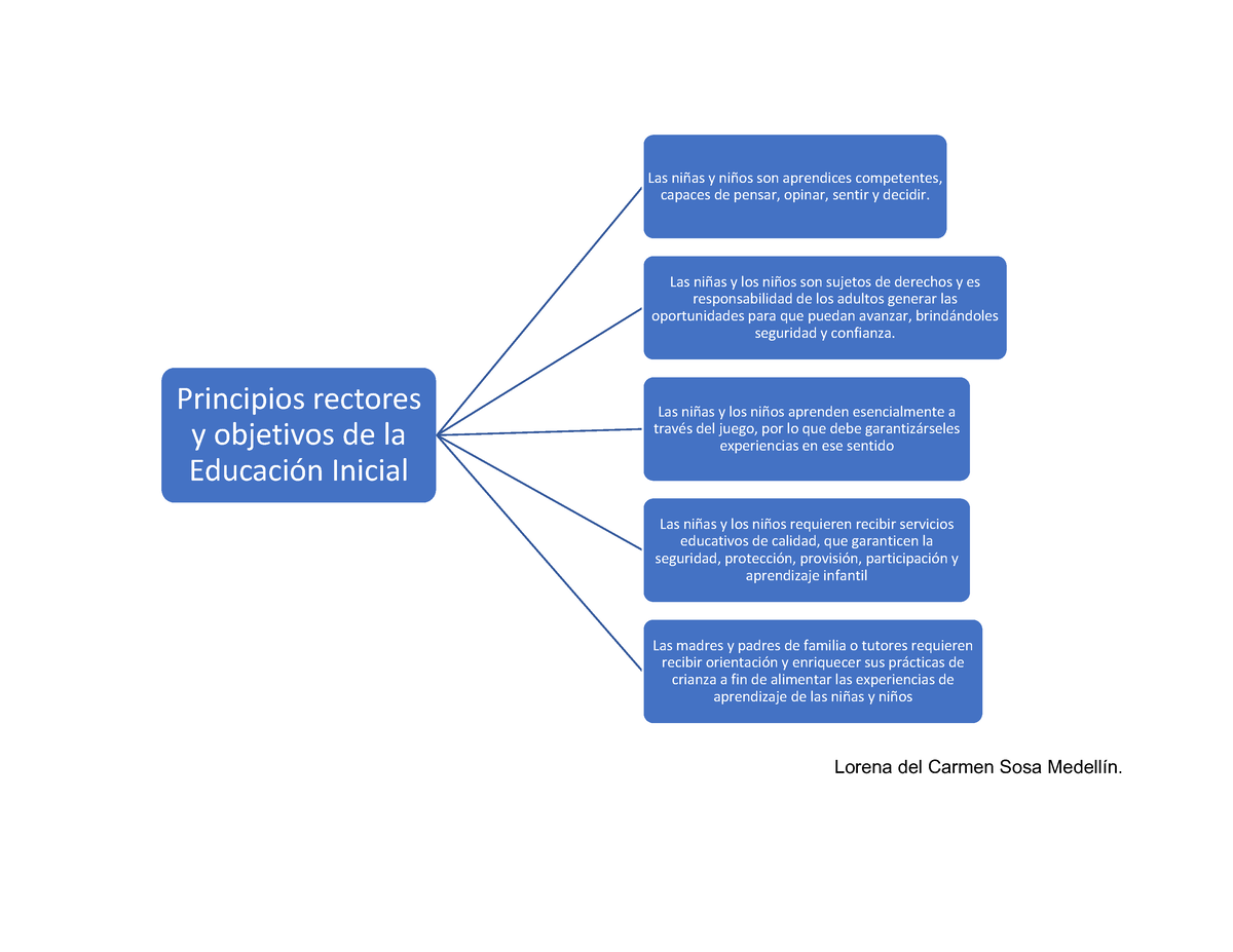 Agente Educativo - Lorena Del Carmen Sosa Medellín. Principios Rectores ...