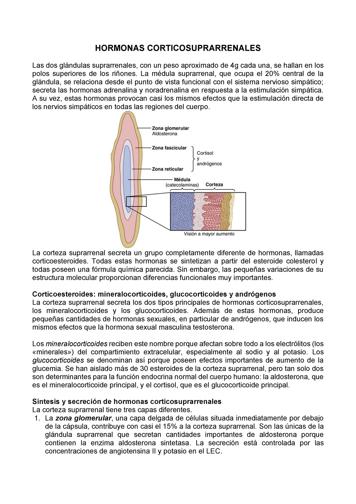 capas de glándulas suprarrenales y hormonas