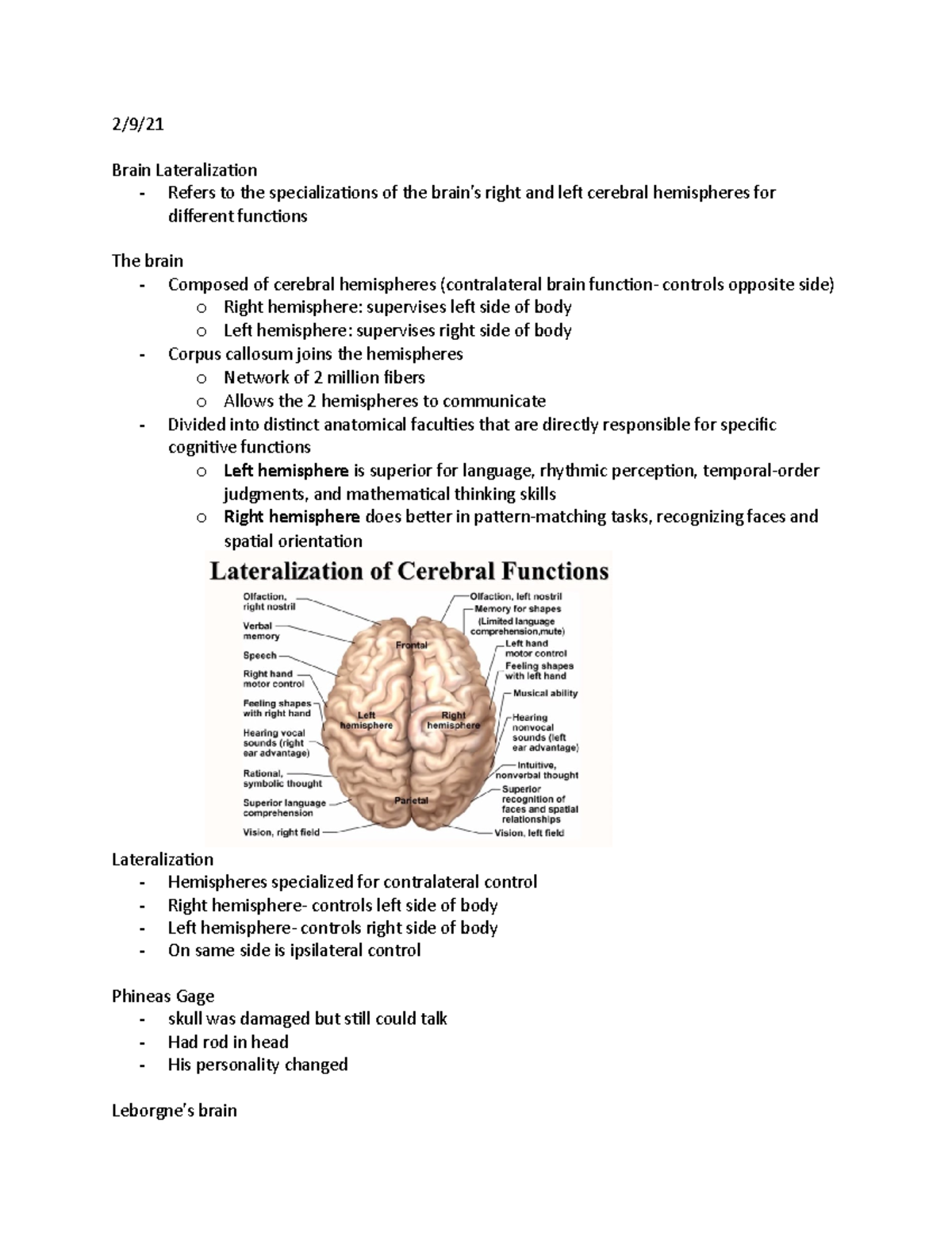 Notes - 2/9/ Brain Lateralization - Refers to the specializations of ...