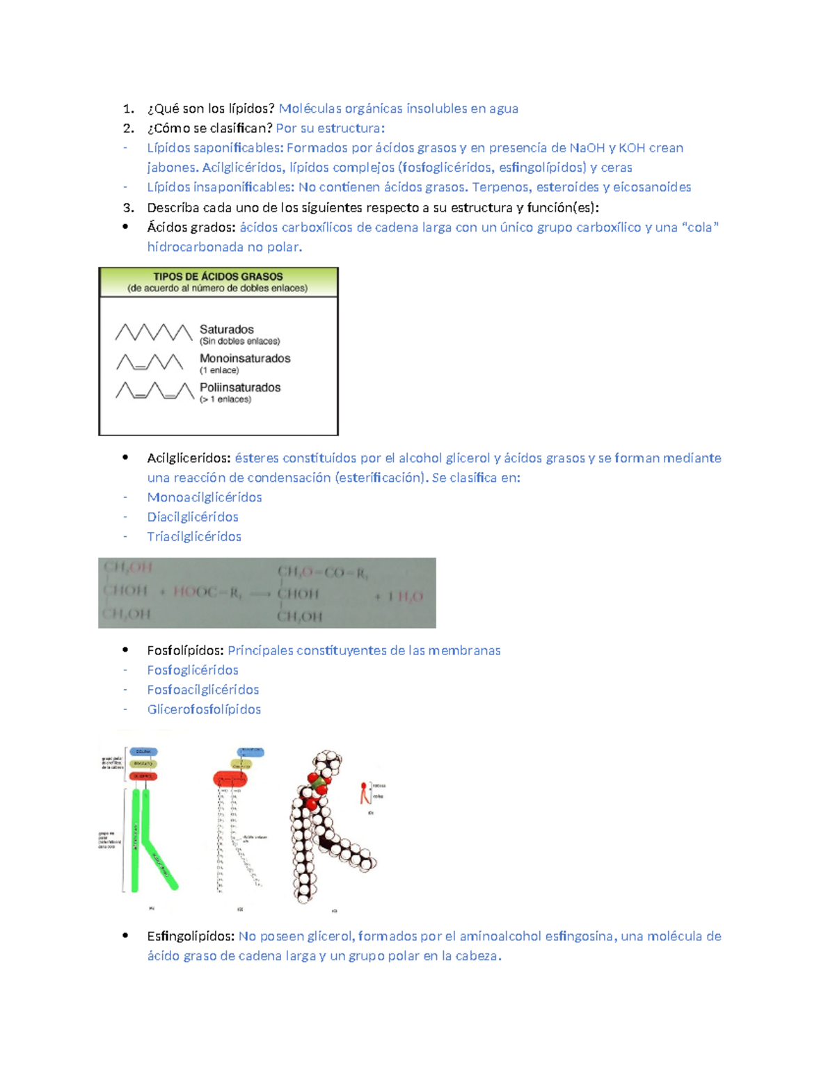 Bioquimica (lipidos) - ¿Qué son los lípidos? Moléculas orgánicas ...