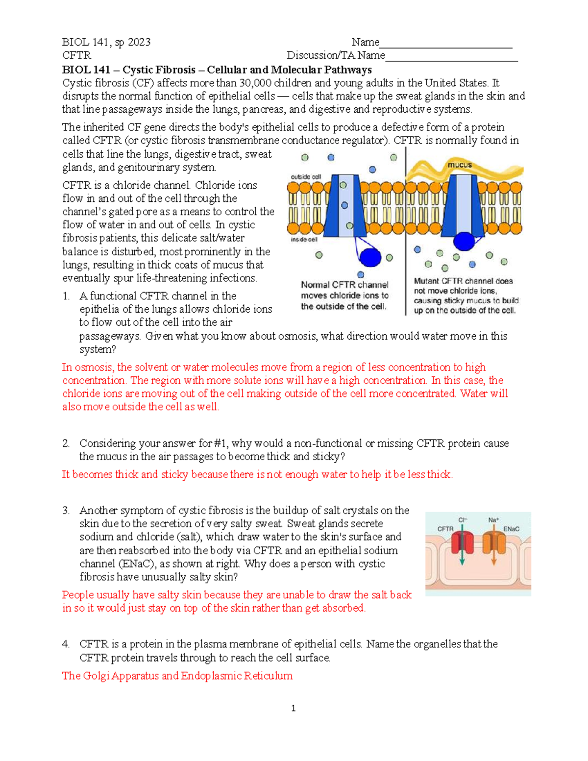 cystic fibrosis case study worksheet