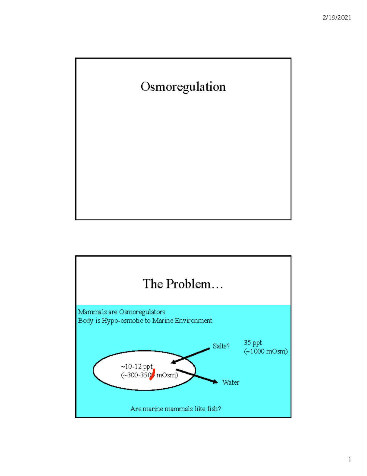 Osmoregulation 2021 Lecture notes 1 OsmoregulationThe Problem