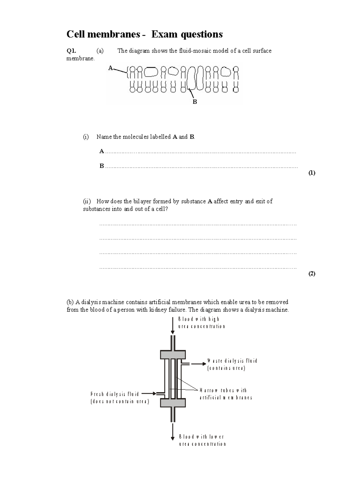 Cell membrane exam questions - Cell membranes - Exam questions Q1. (a ...