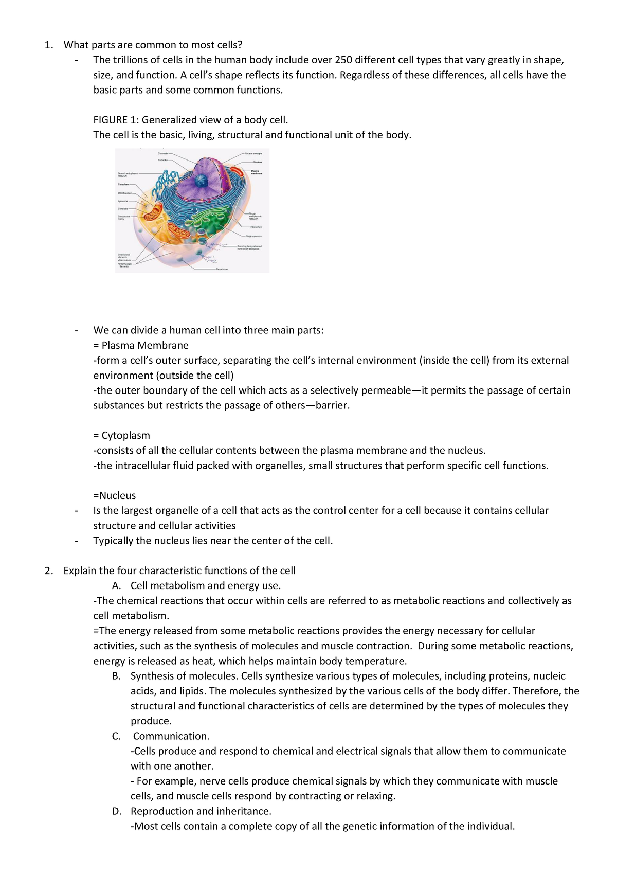 Anatomy and Physiology Questions and Answers - What parts are common to ...