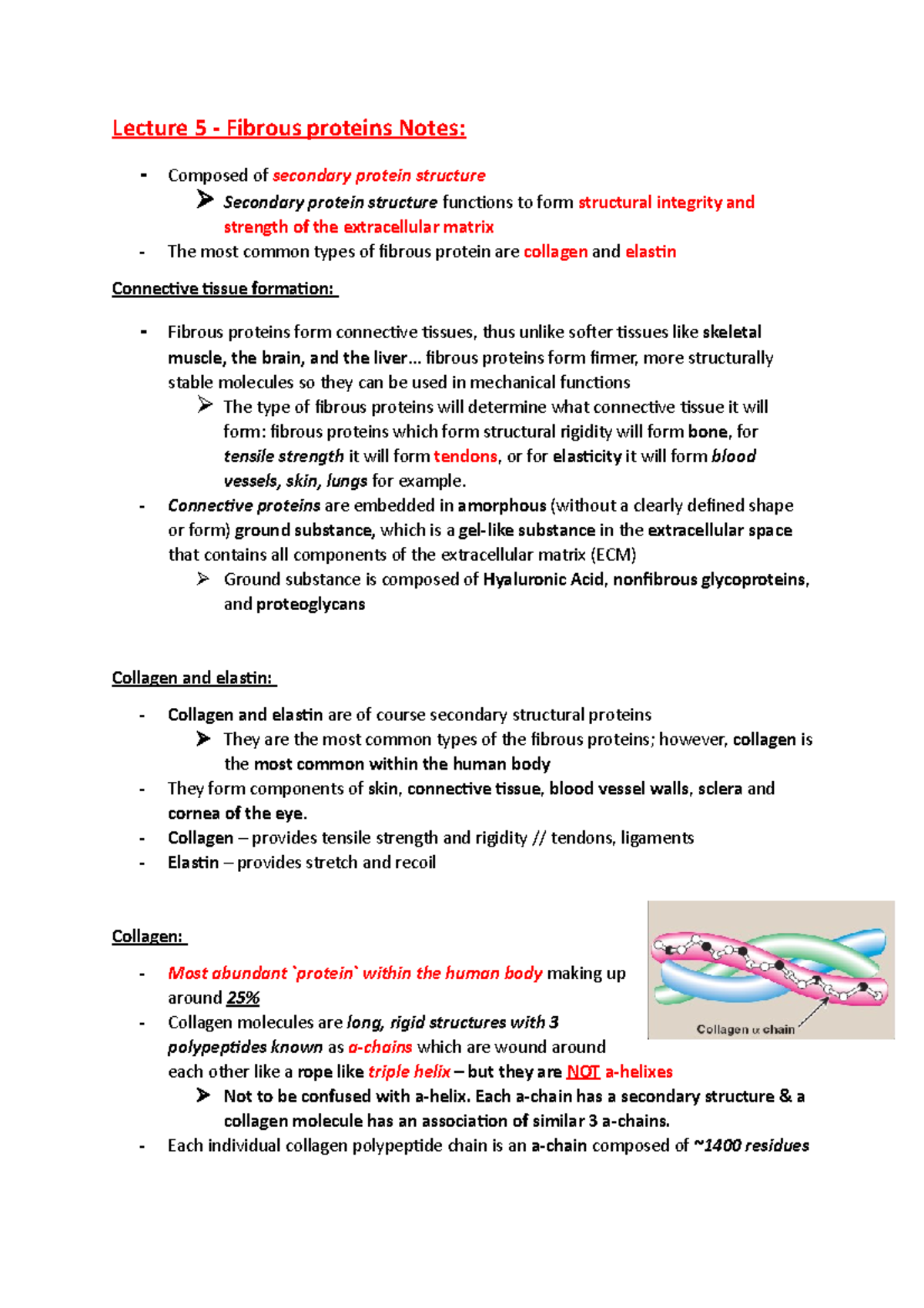 Life Science 1 - Fibrous proteins Notes - Lecture 5 - Fibrous proteins ...
