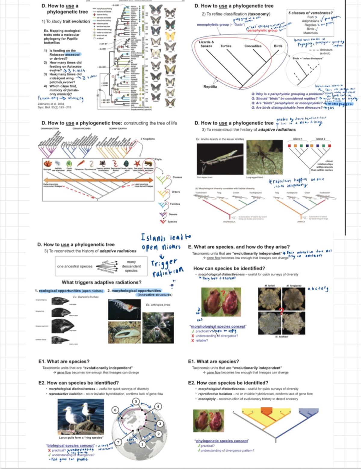 Screenshot 2023-01-25 At 4.23.20 PM 2 - BIOL 211 - Studocu