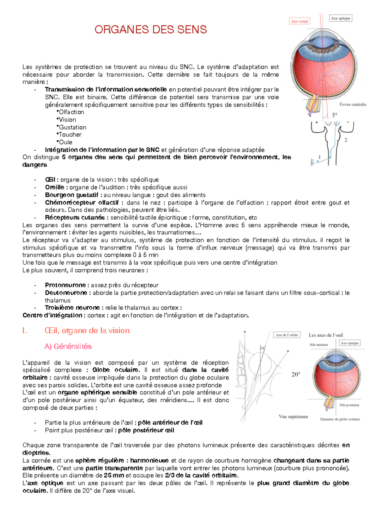 Organes des sens - Cours PACES 2018 - ORGANES DES SENS Les systèmes de ...