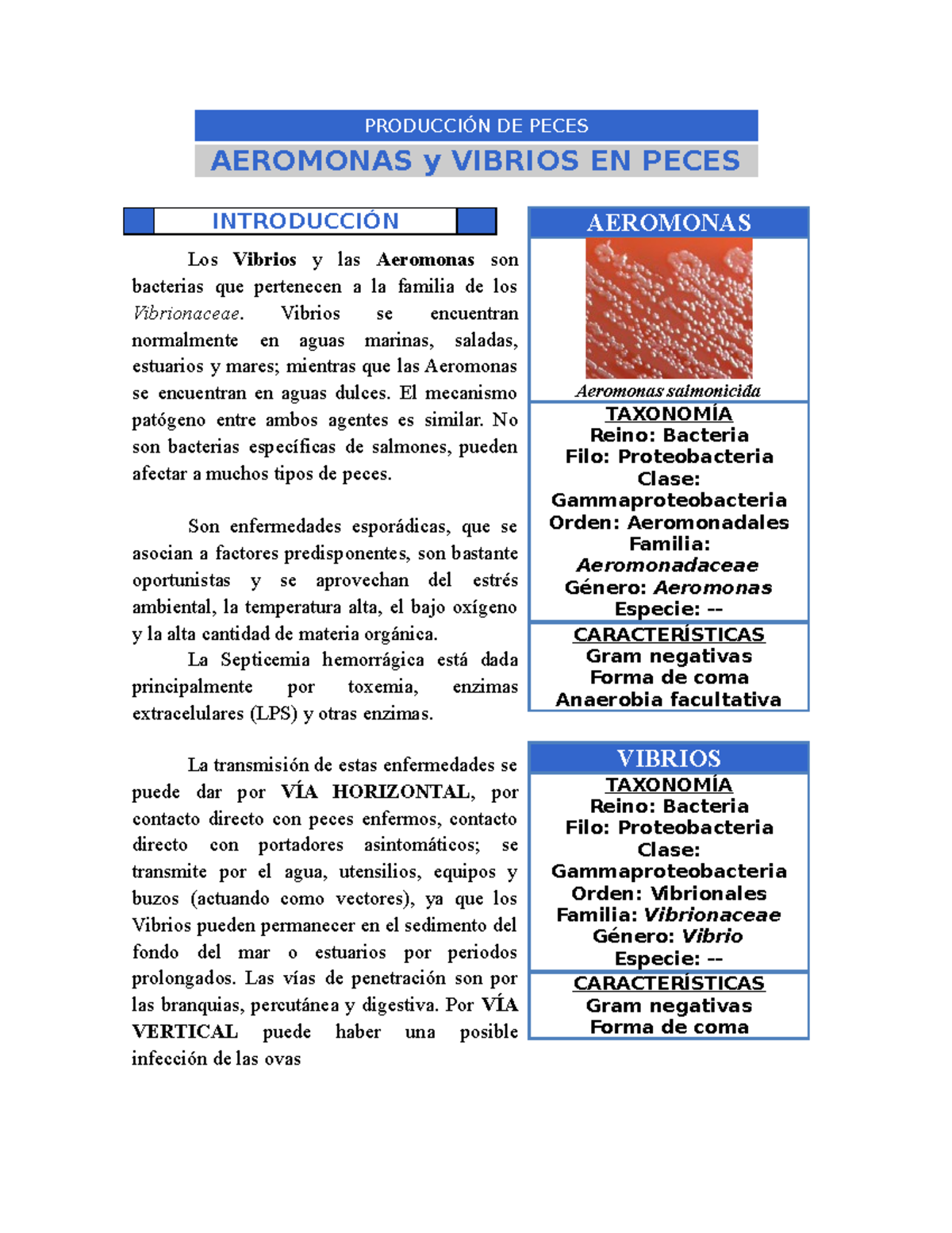 enfermedad hemorragica en peces enfermedad hemorragica en peces