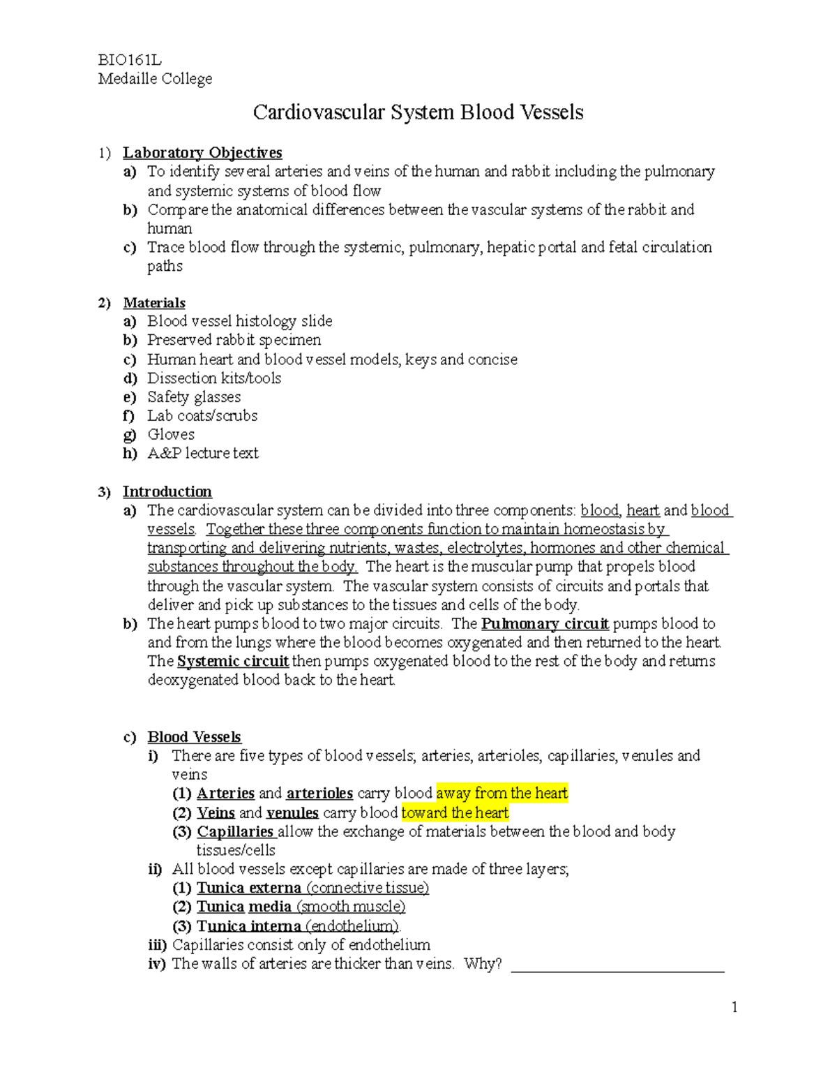 BIO161L lab 6 blood vessels - Medaille College Cardiovascular System ...