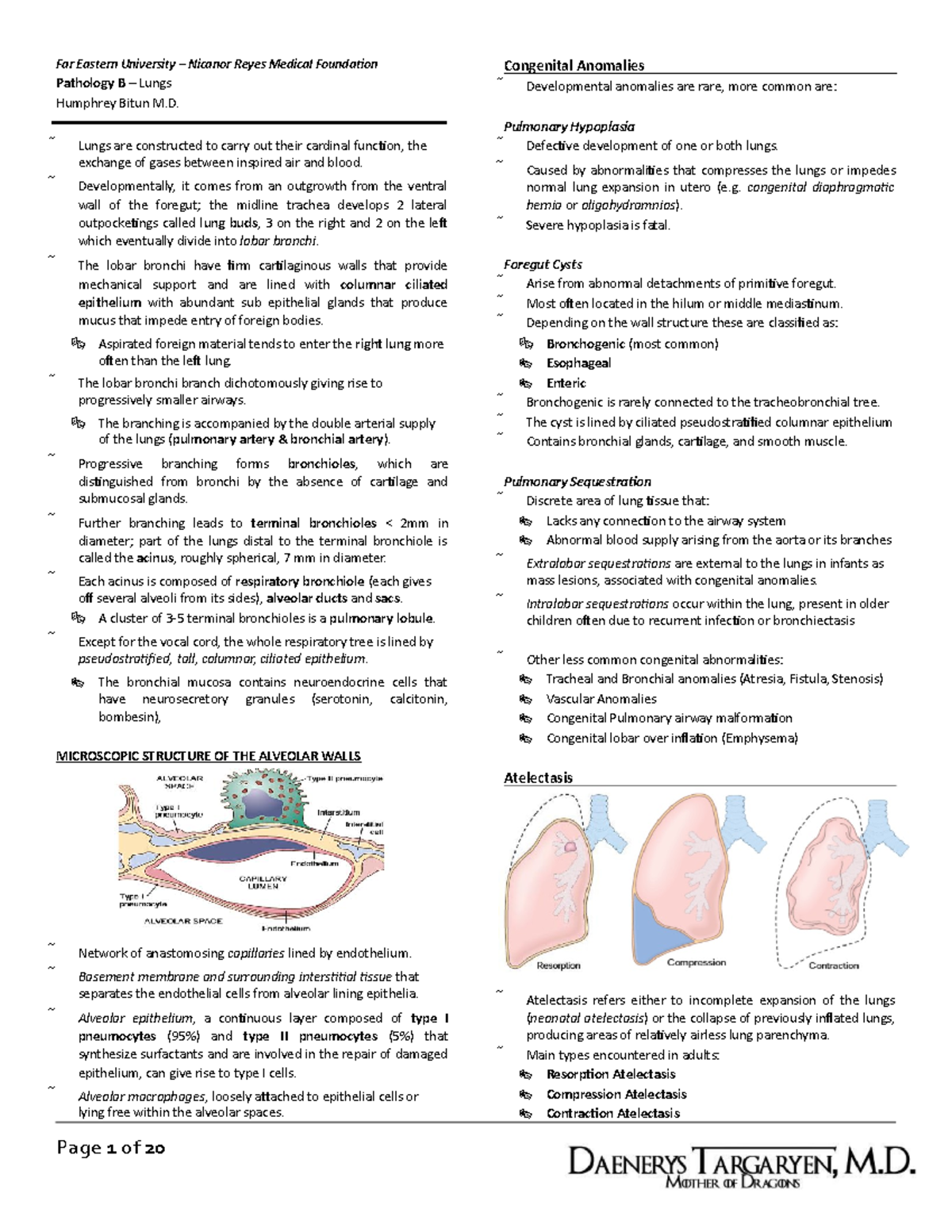 Pathology B - Lungs (Bitun, 2015 ) - Far Eastern University – Nicanor ...