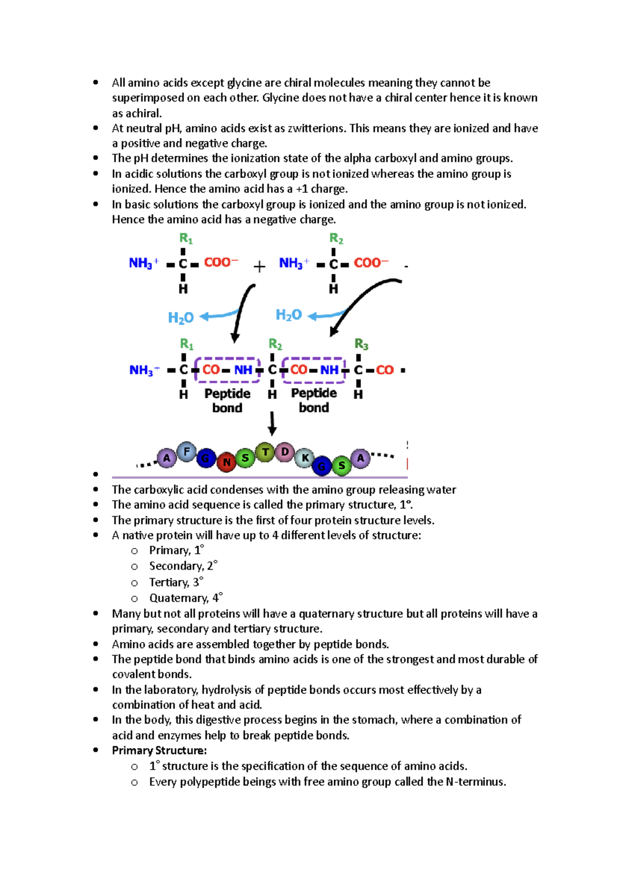 Protein Structure And Function All amino acids except glycine are