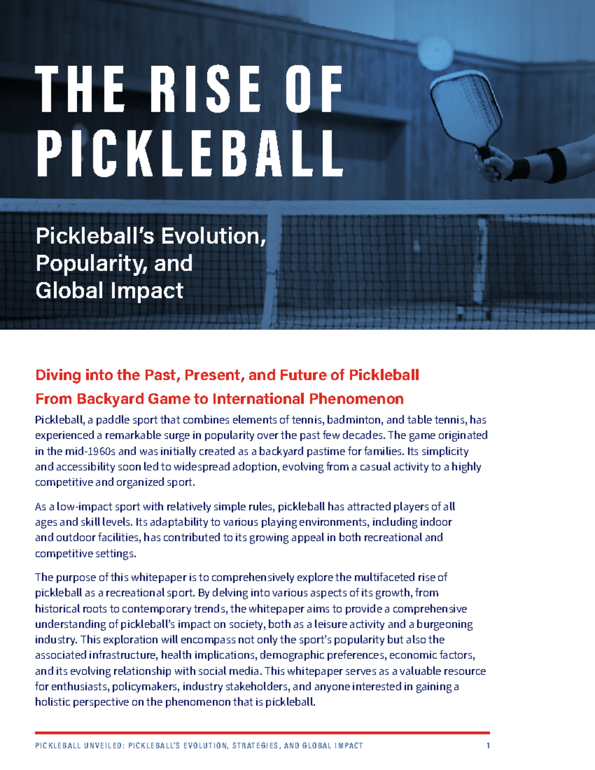 Chat-pdf-demo - Diving into the Past, Present, and Future of Pickleball ...