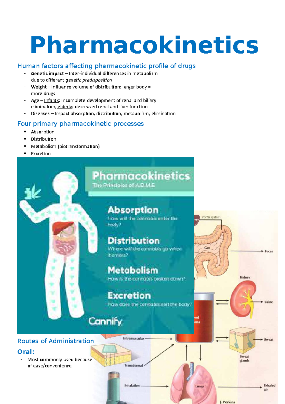 Pharmacokinetics - pharmacokenetic notes - Pharmacokinetics Human ...