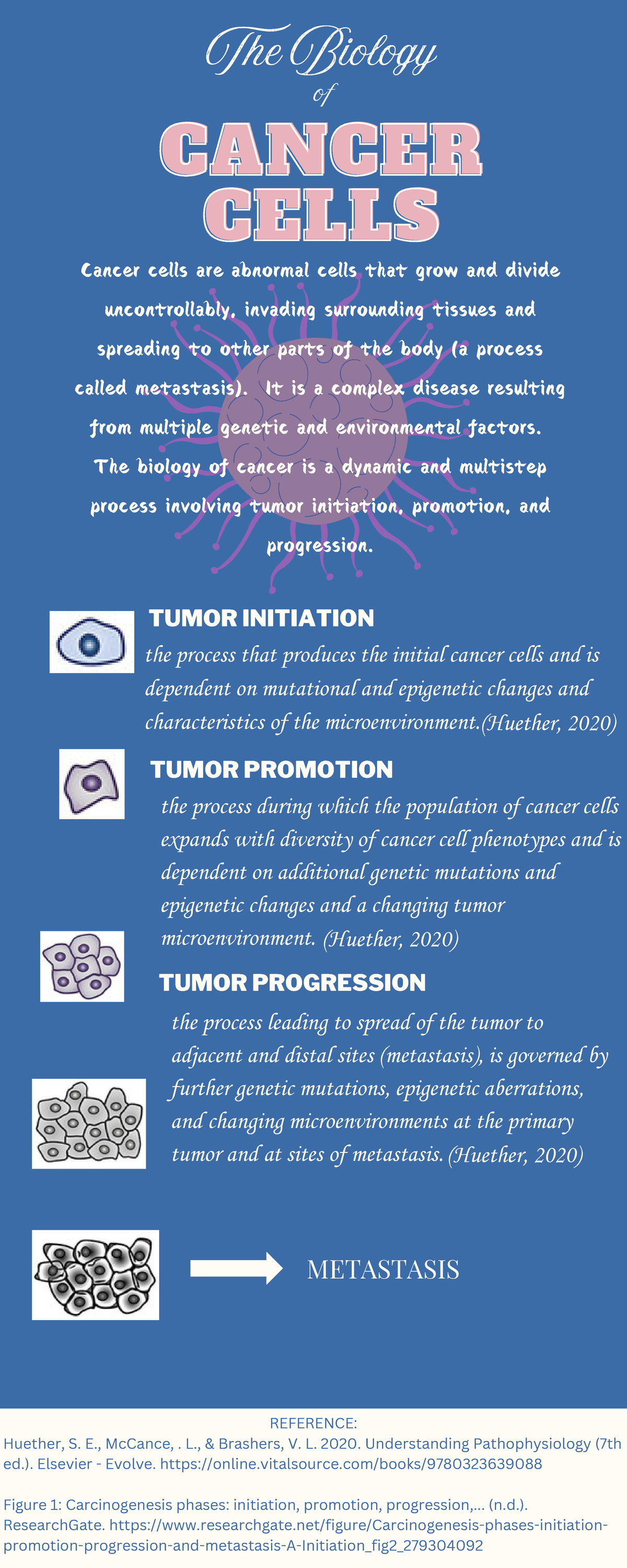 Infographic - REFERENCE: Huether, S. E., McCance,. L., & Brashers, V. L ...