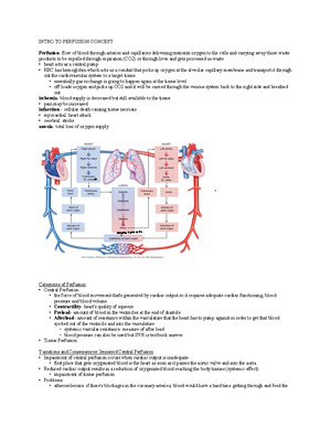 NUR304 - Case Study Pain - Clinical Scenarios, Chapter 13, Comfort And ...