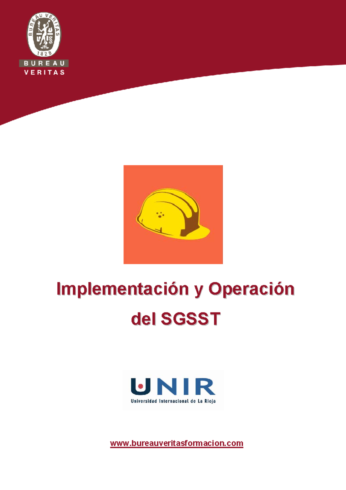 UC05-Implementacion Y Operacion Sgsst - Implementación Y Operación Del ...