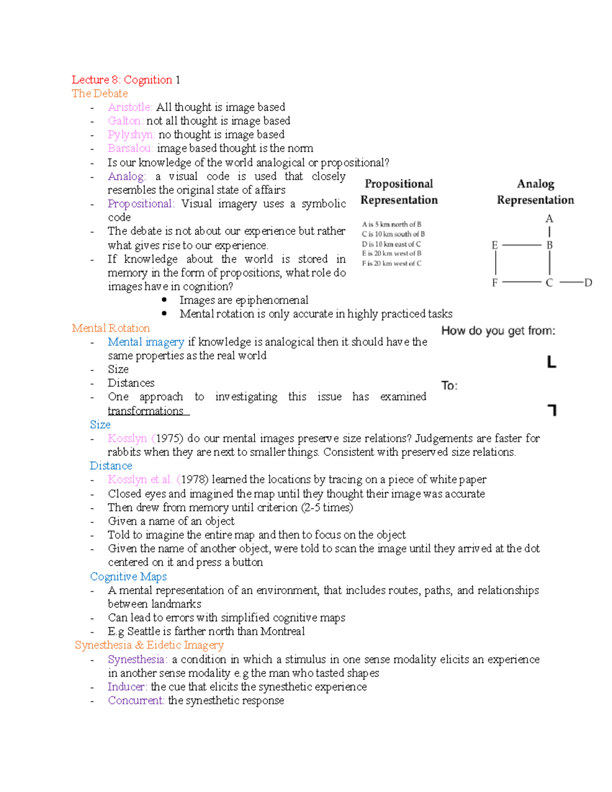 lecture-8-cognition-if-knowledge-about-the-world-is-stored-in