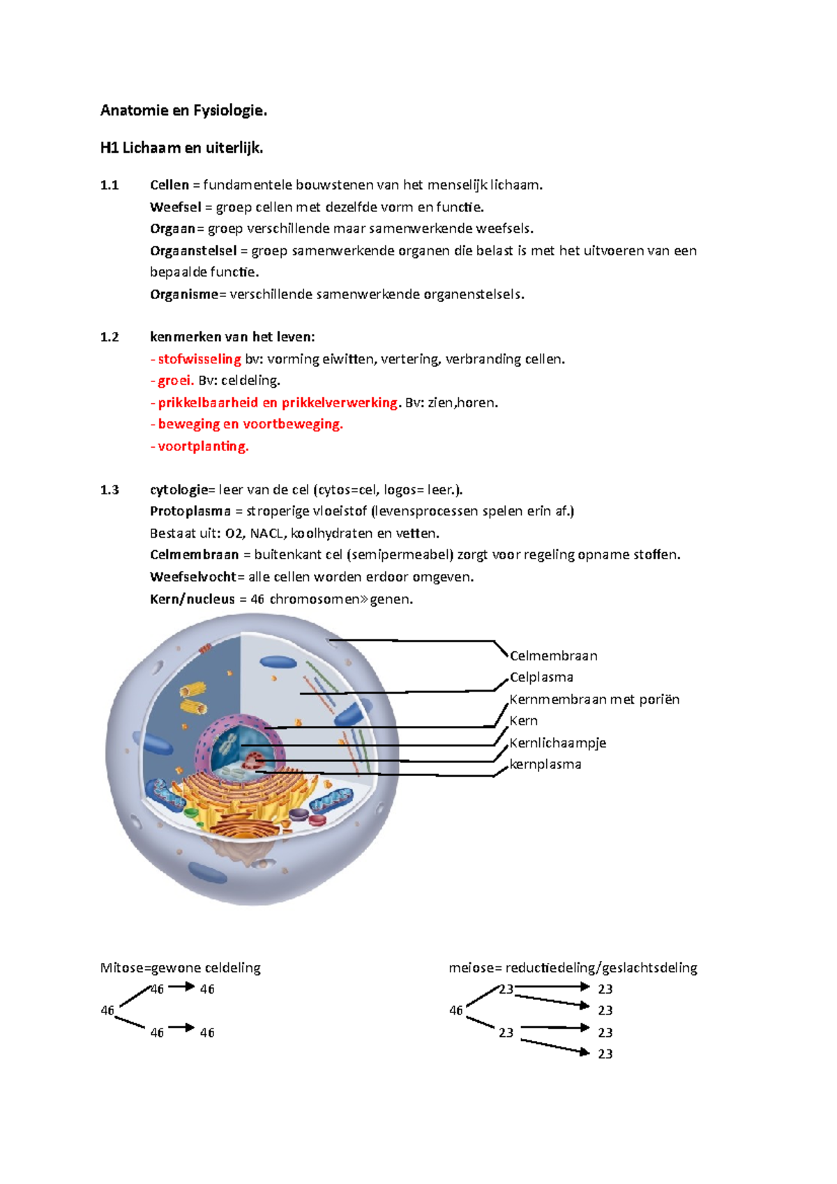 Anatomie En Fysiologie Cel, Huid, Erfelijkheid, Hart,bouw Skelet ...