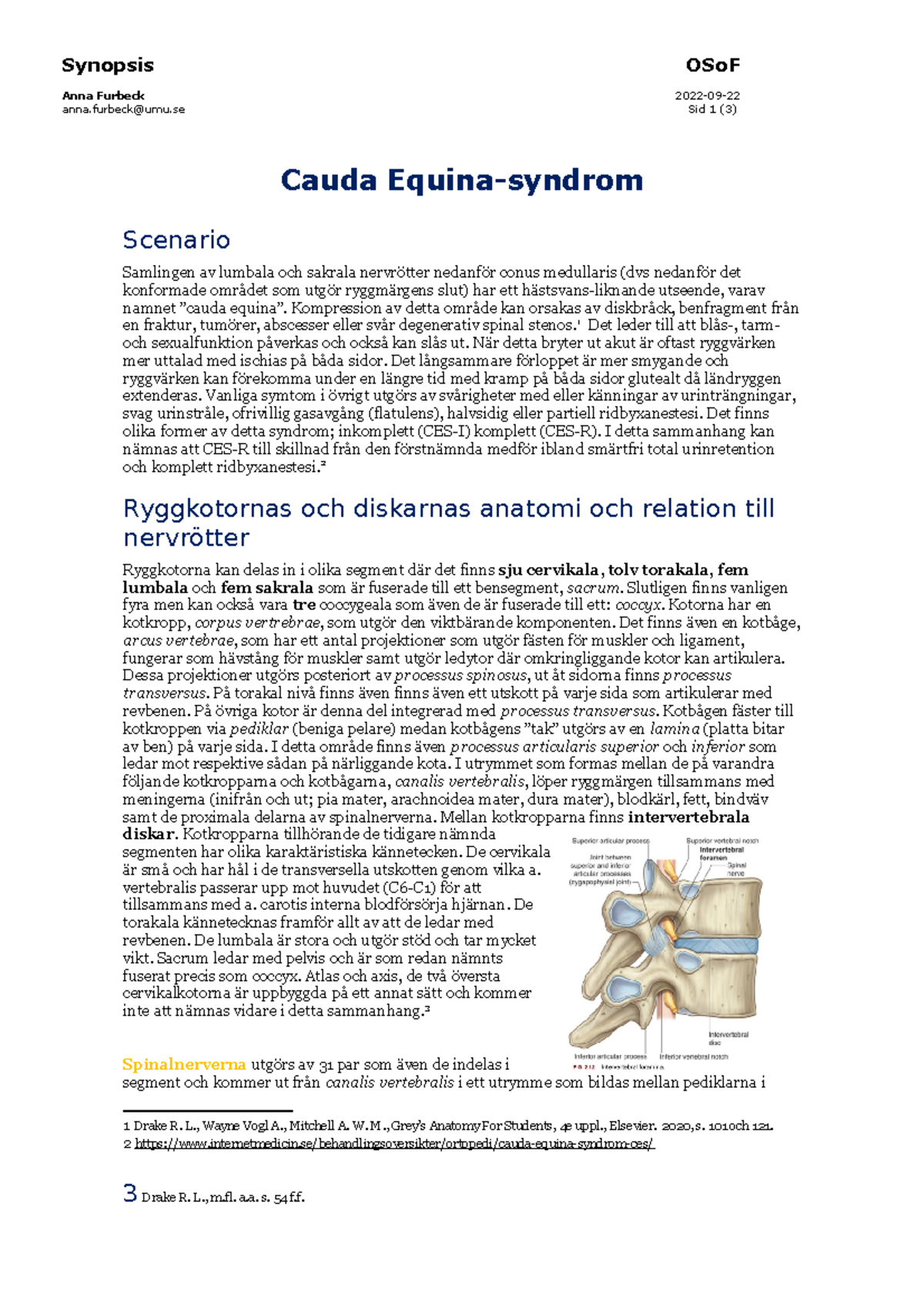 Furbeck Anna Cauda Equina-syndrom - Synopsis Anna Furbeck anna@umu OSoF ...