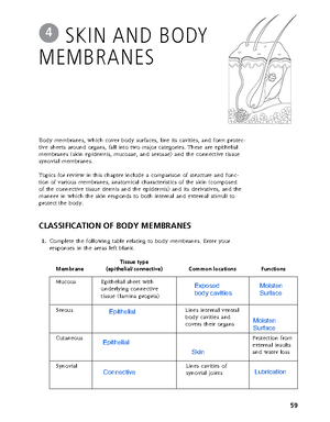 Chapter 3 workbook Cells and Tissues - The basic unit of structure and ...