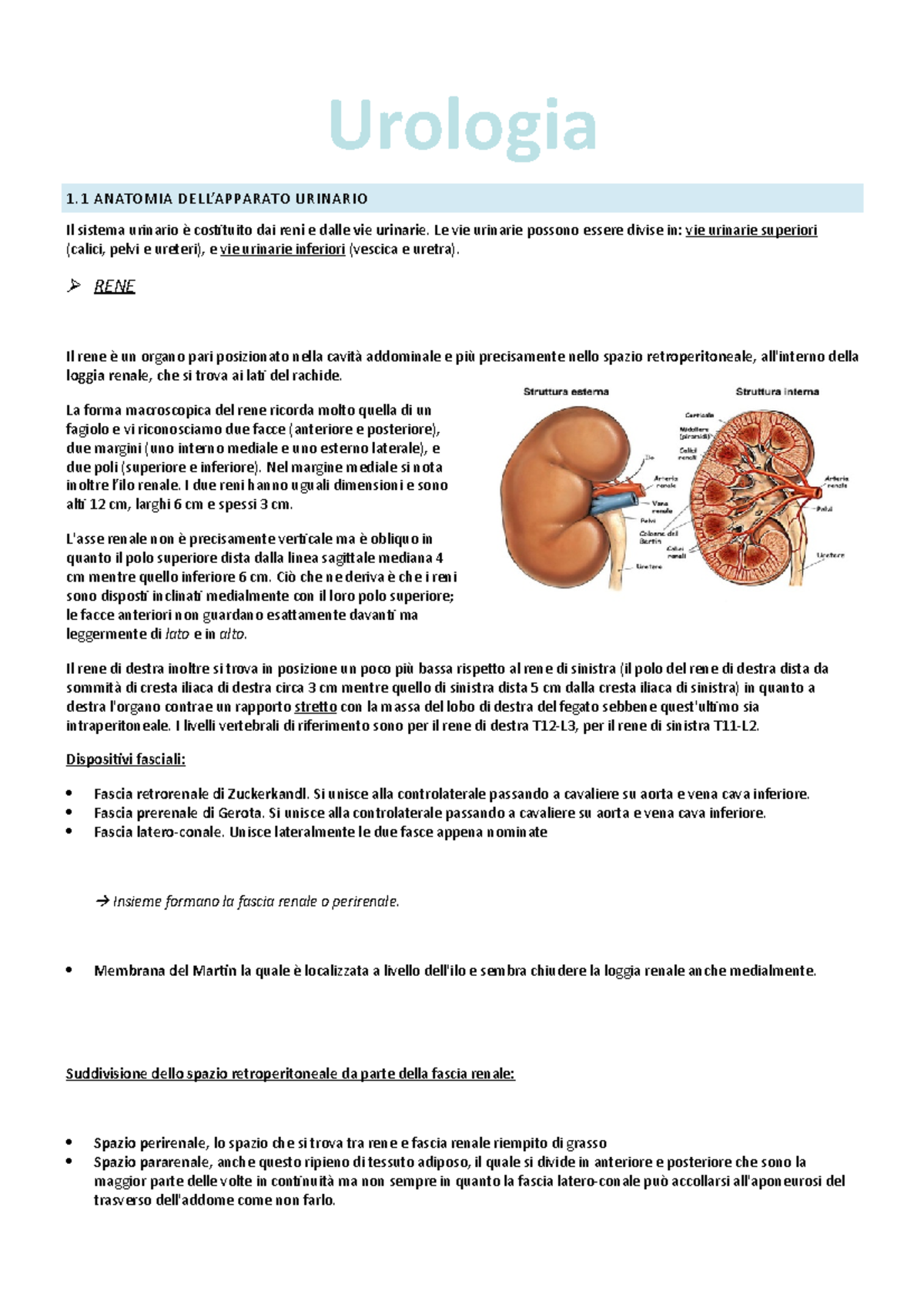 Urologia - Programma Corso Integrato Di Fisiopatologia Clinica - UniUd ...