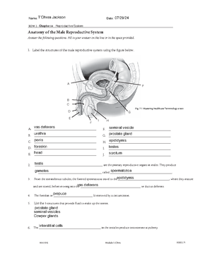 MA115 ROW 2 Chapter 29 - GBRGB - ROW 2 - Chapter 2 9 Procedural Coding ...