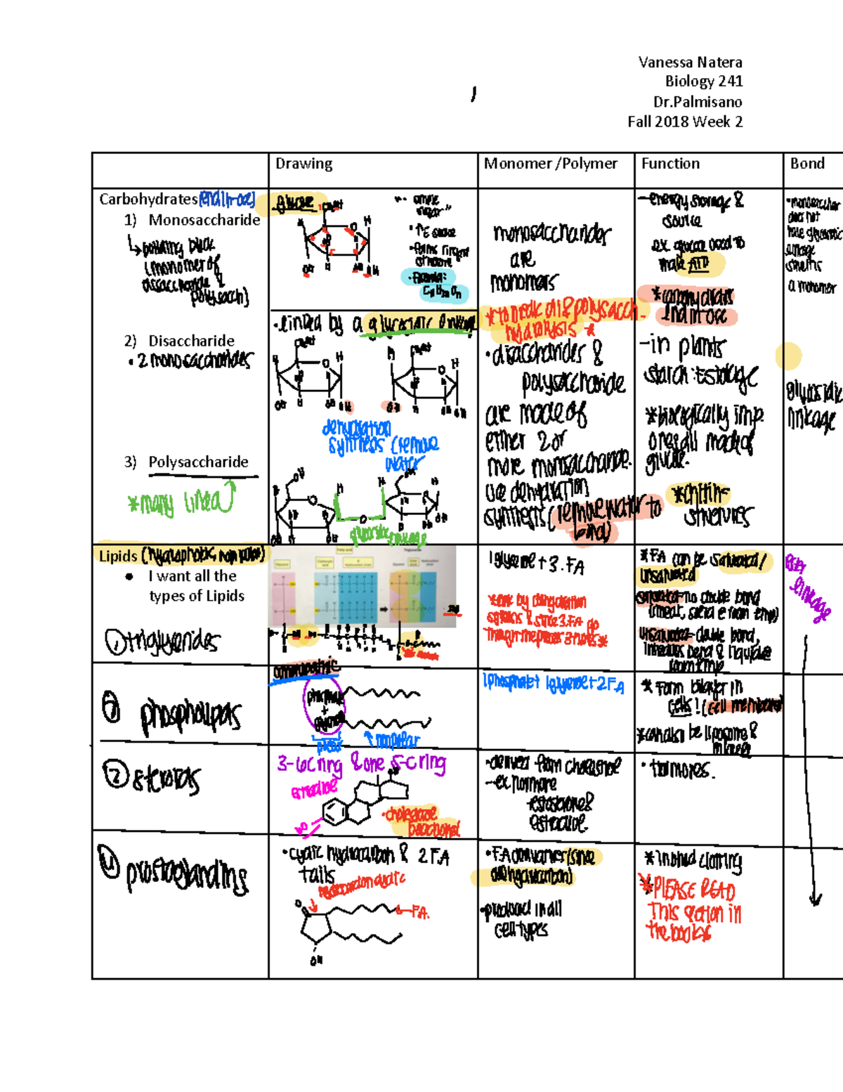 Biomolecules Handout KEY 2 BIOL 241 C Studocu