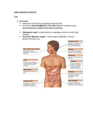 Digestive system, Obesity, Diabetes, Pregnancy