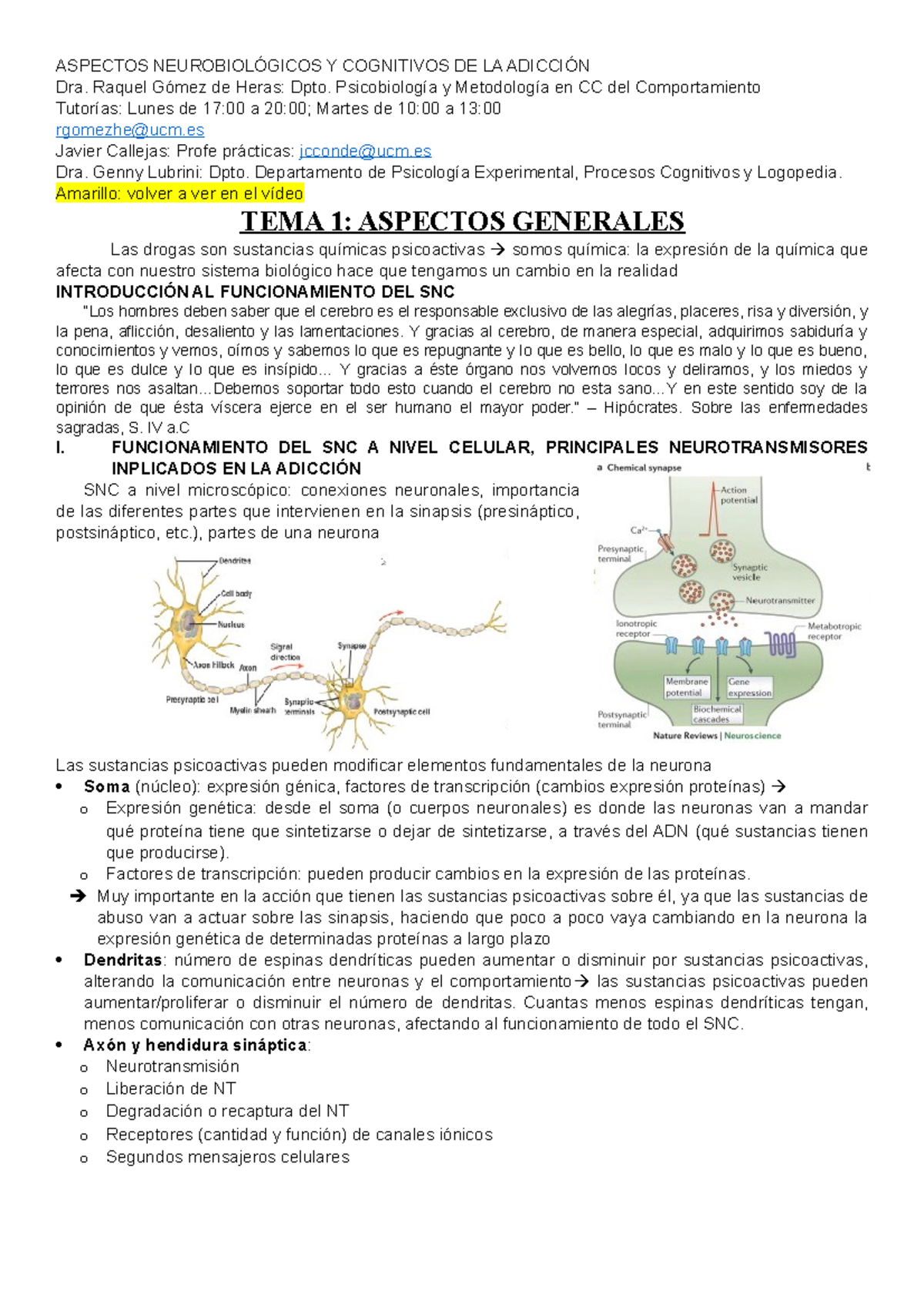 Aspectos Neurobiol Gicos Y Cognitivos De La Adicci N Aspectos Neurobiol Gicos Y Cognitivos De