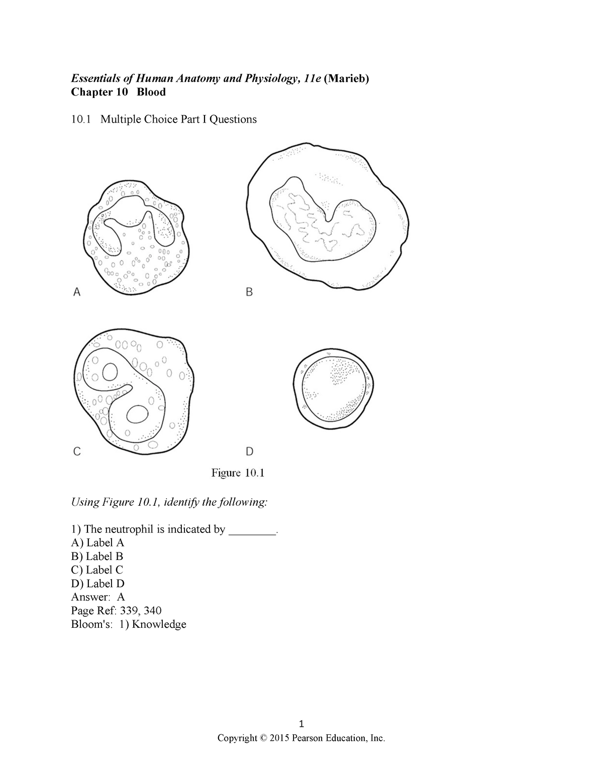 Ch 10 Test Bank - ANAPHY - 1 Essentials Of Human Anatomy And Physiology ...