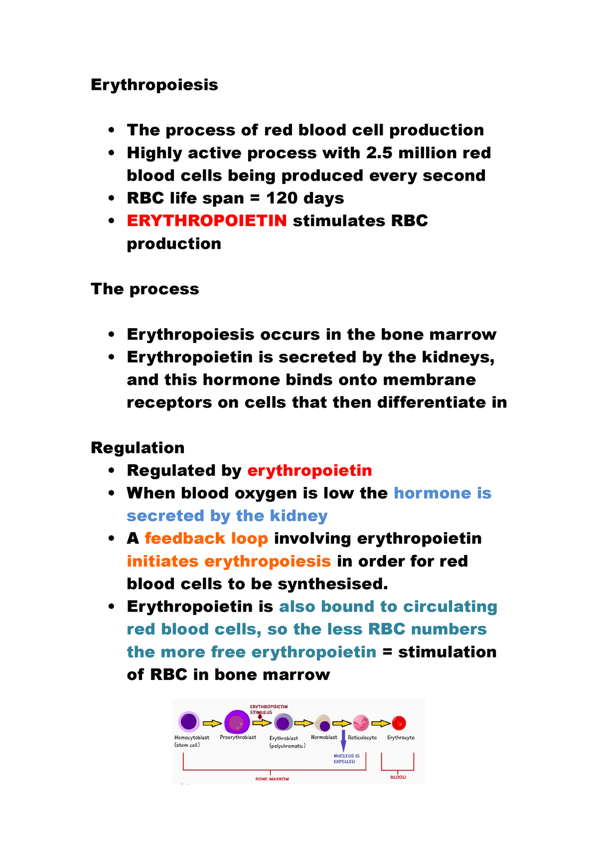 what is your hypothesis regarding the synthesis of recombinant erythropoietin