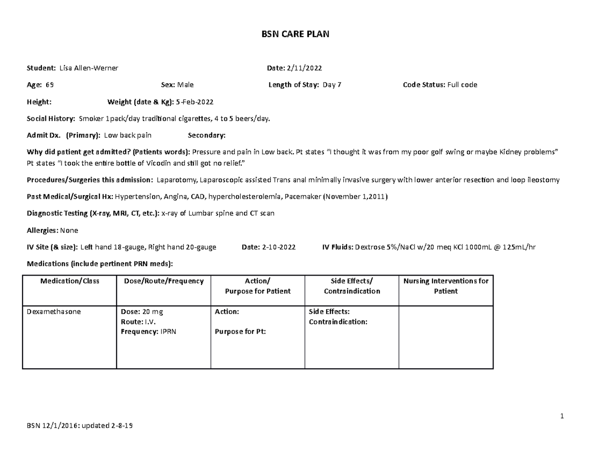 Cancer care plan 1 care plan Student Lisa AllenWerner Date 2/11