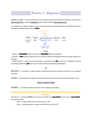 Final De Bioquimica - Ciclo De Formación Básica- Bioquímica - Studocu