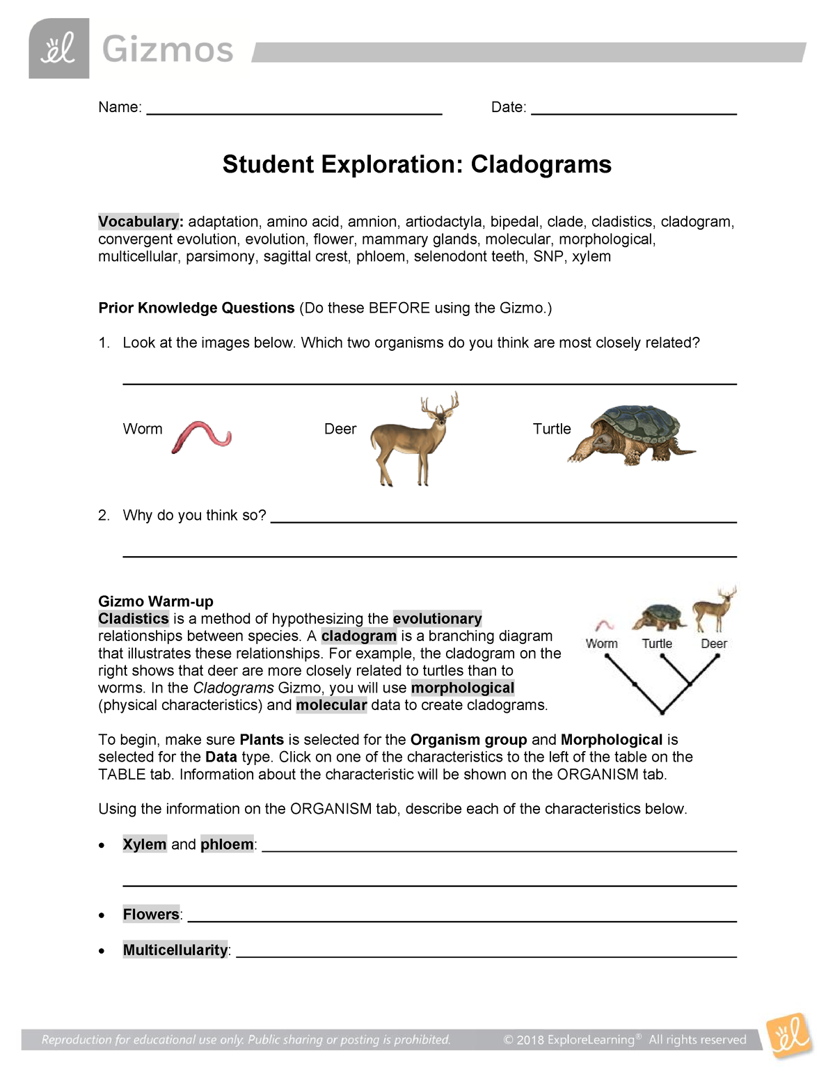 Gizmo Cladograms Answer Key Activity C