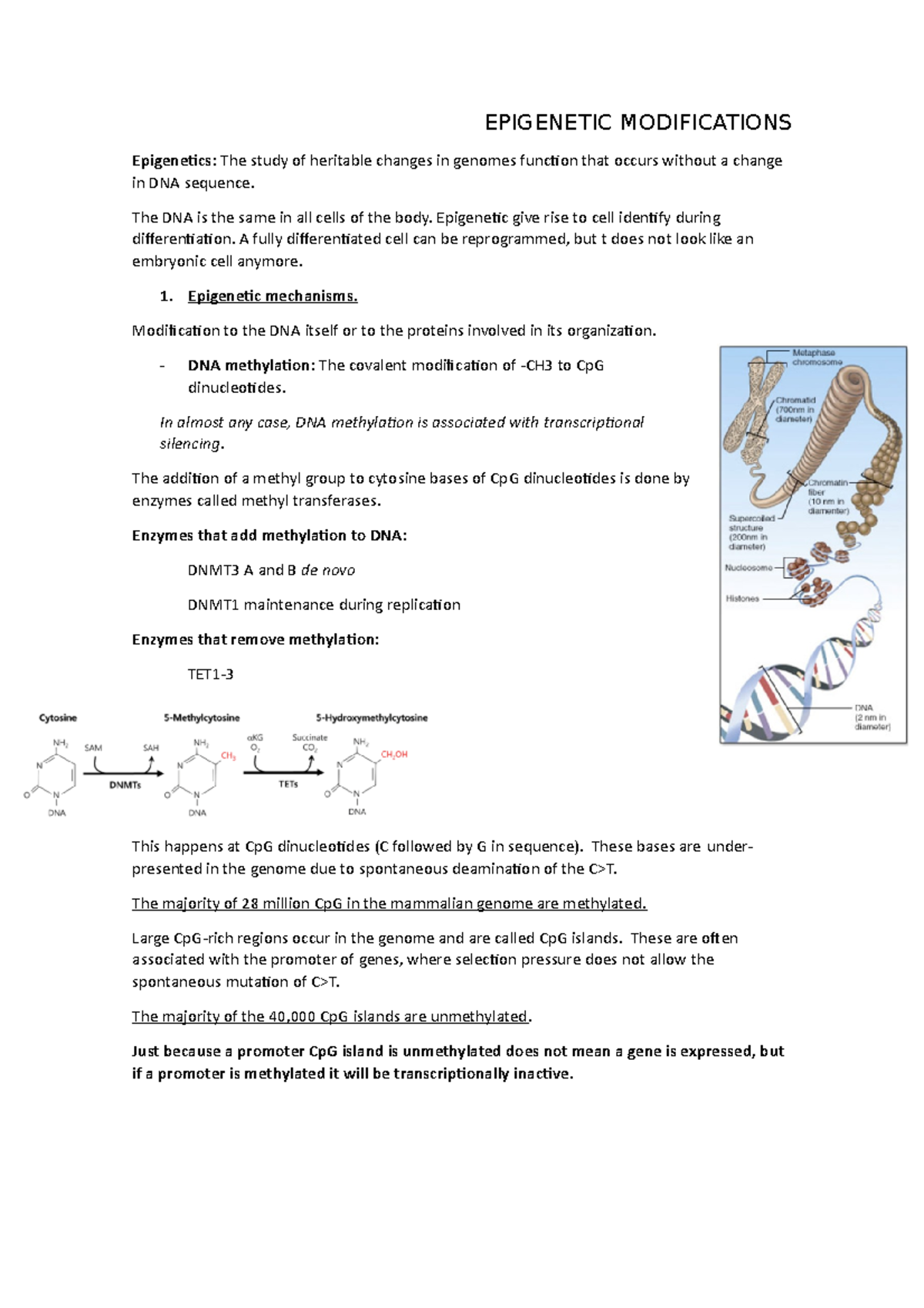 8. Epigenetics modifications - EPIGENETIC MODIFICATIONS Epigenetics ...