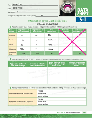 Lab Report 7. LIMITING REACTANT FULL LAB REPORT. - CHEM 1412 - LC - Studocu