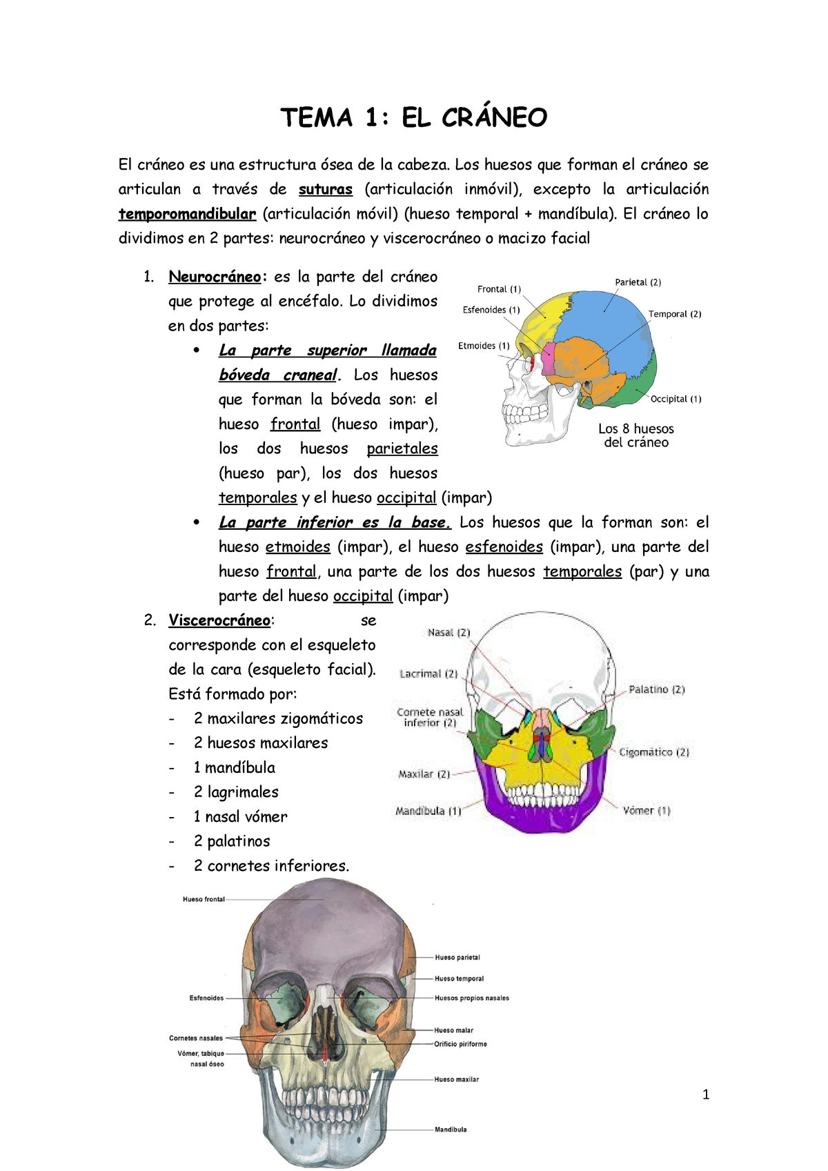 Tema 1 Apuntes 1 Neuroanatomia Uab Studocu