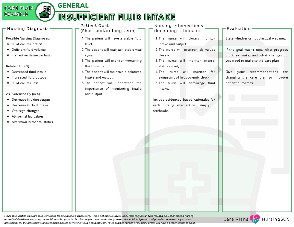 Example - Care Plan - Insufficient Fluid Intake - C a r e P l a n s N u ...