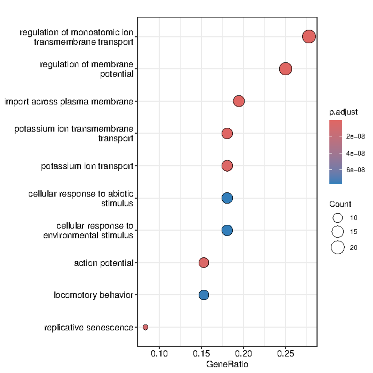 Network Analysis GO Enrichment BP Dotplot - Physical Chemistry ...