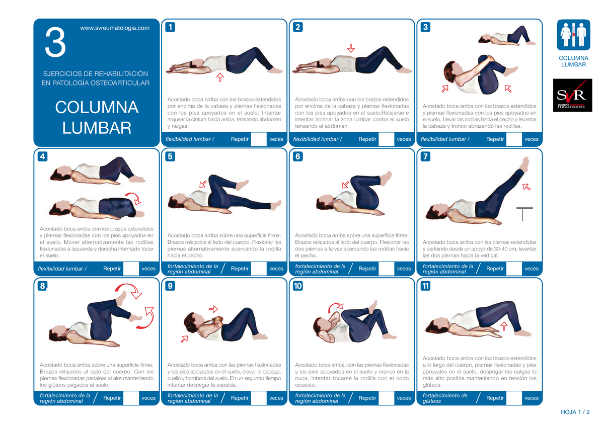 Ejercicios De Columna Dorsal Y Lumbar Themelower