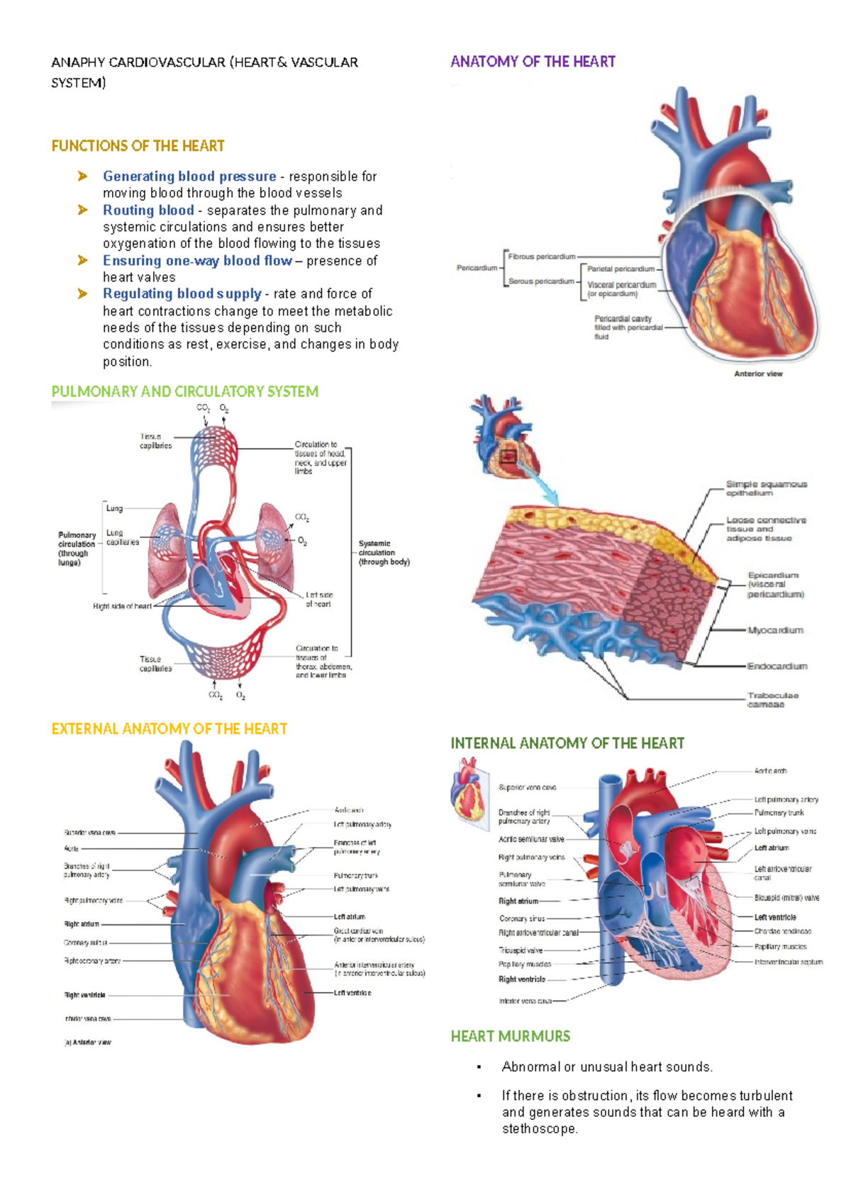 Anaphy Cardiovascular ( Heart& Vascular System) - ANAPHY CARDIOVASCULAR ...