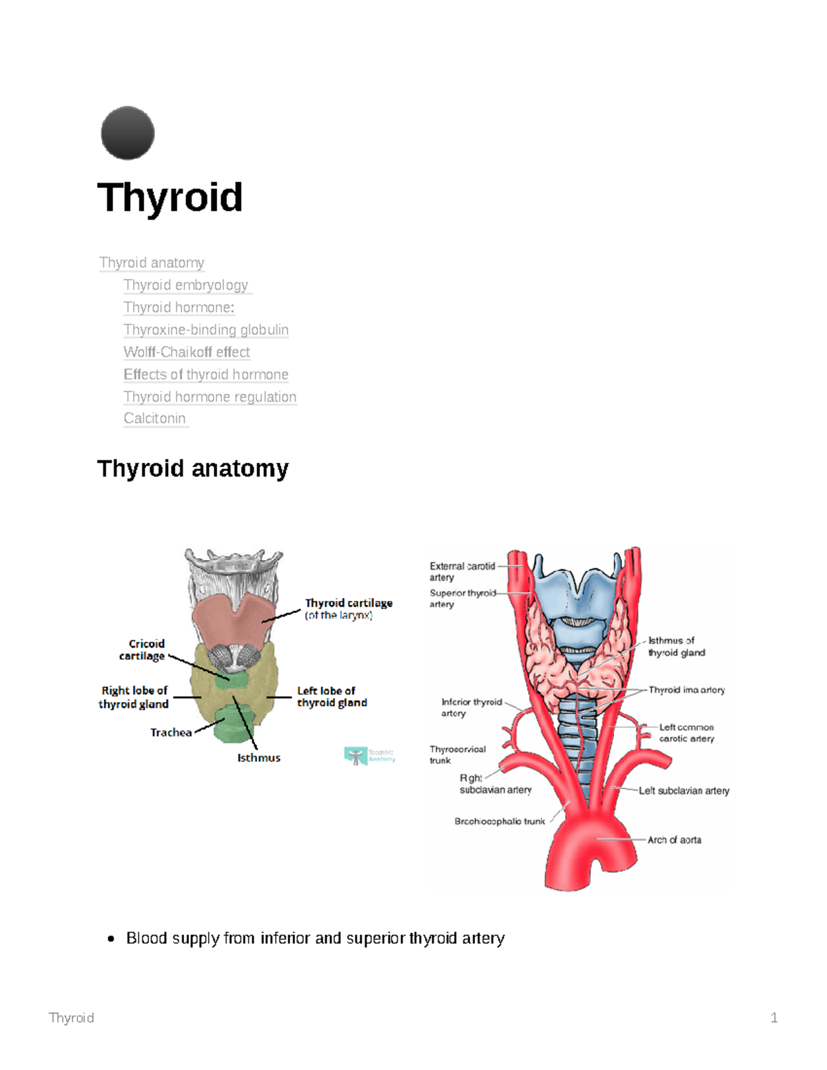 Thyroid Ultrasound Cpt 54 - u9q433f