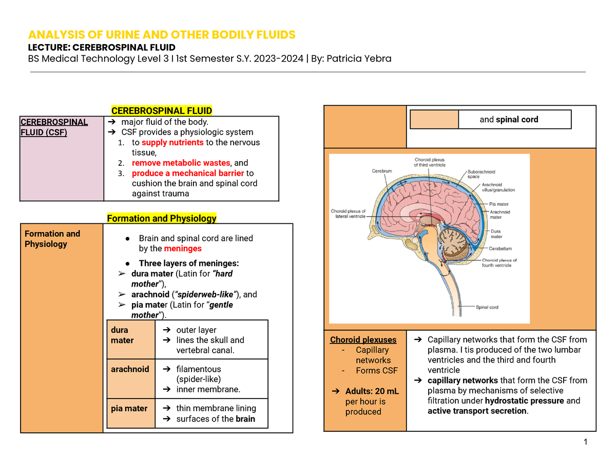 Cerebrospinal Fluid - AUBF - LECTURE: CEREBROSPINAL FLUID BS Medical ...