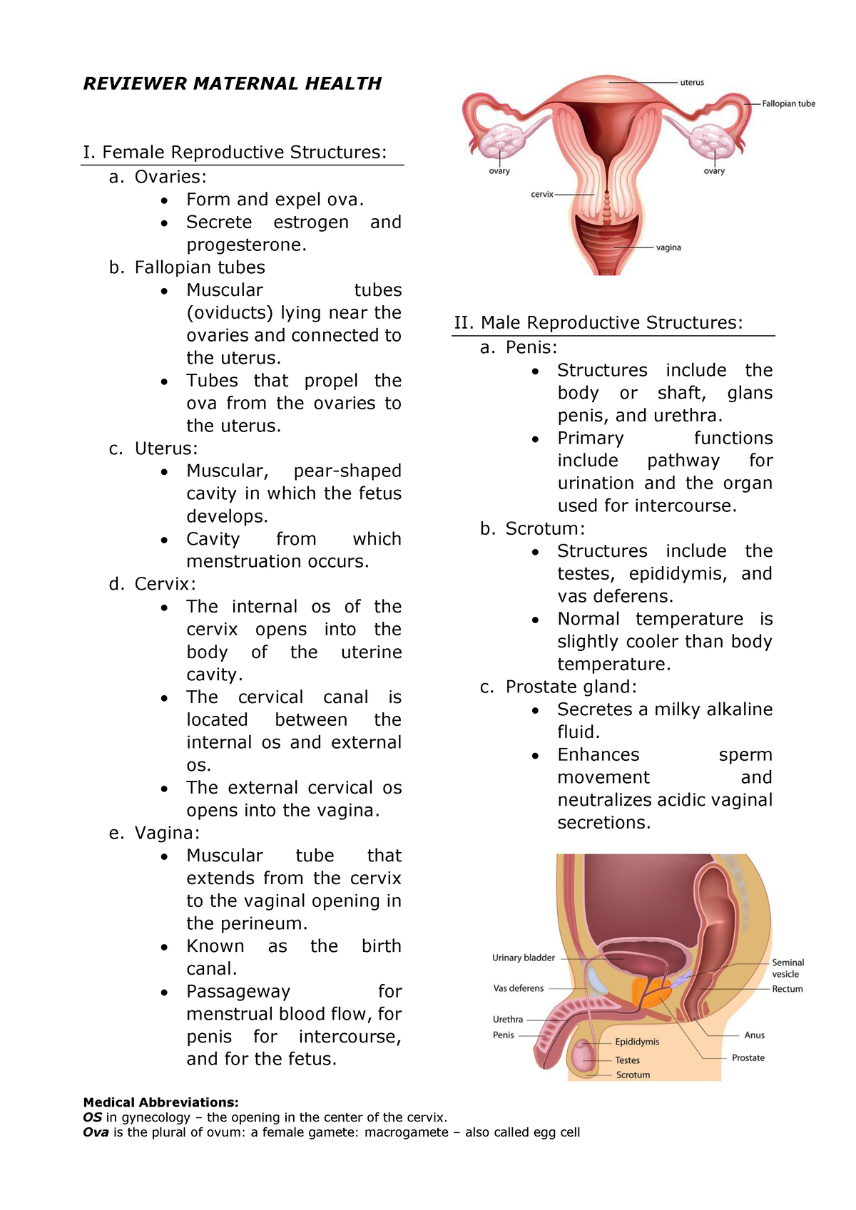 Reviewer Maternal Health - Medical Abbreviations: OS in gynecology ...