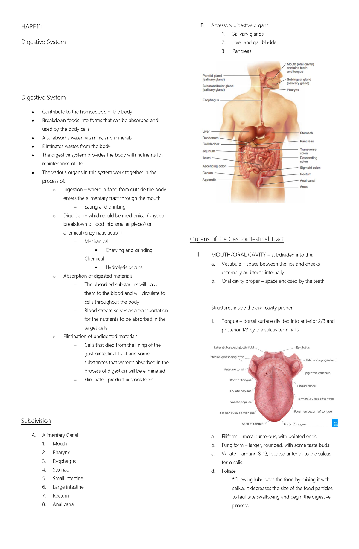 Digestive System - HAPP Digestive System Digestive System Contribute to ...