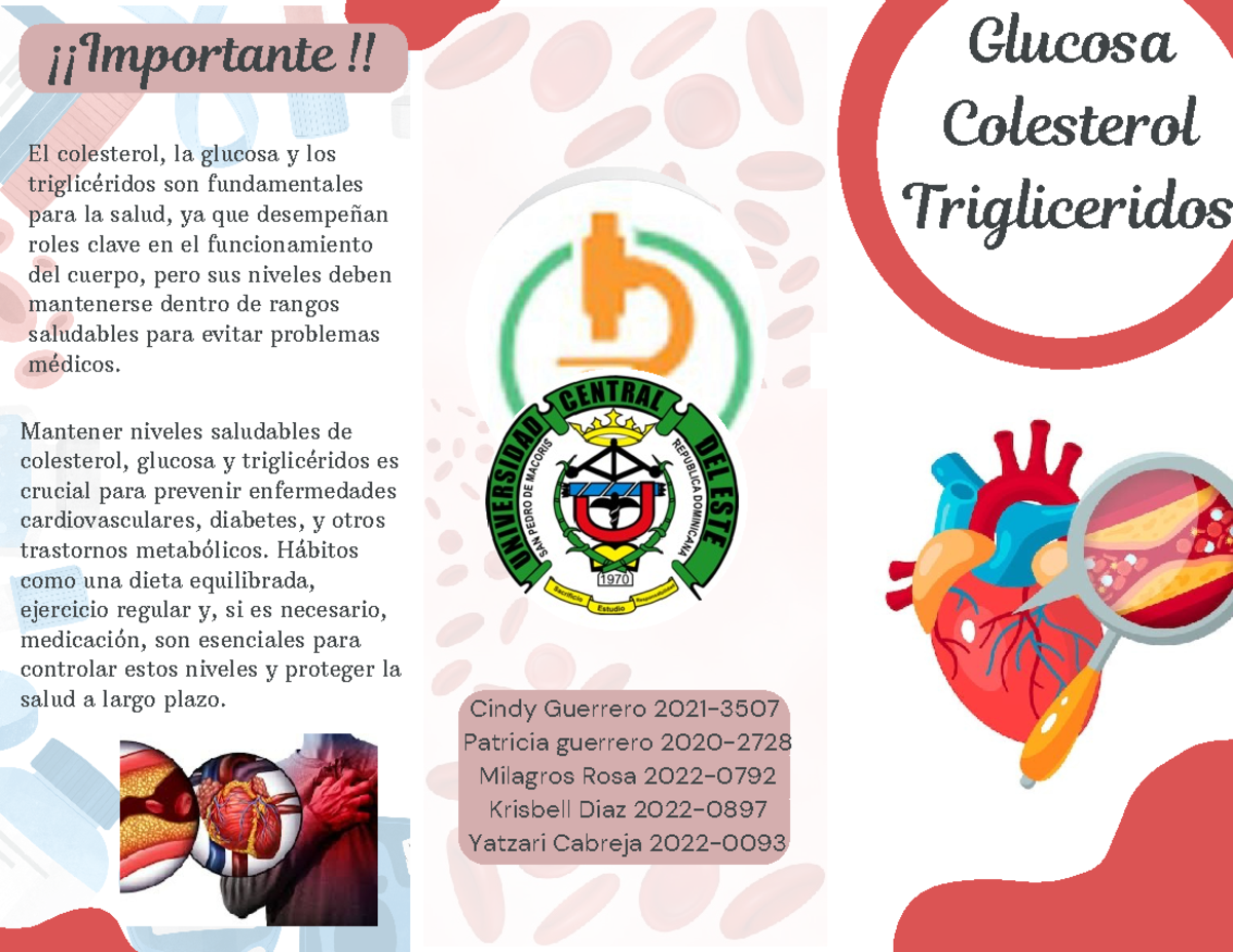 Brochure de Glucosa, Colesterol y Triglicéridos (Cindy Yamel) - Glucosa