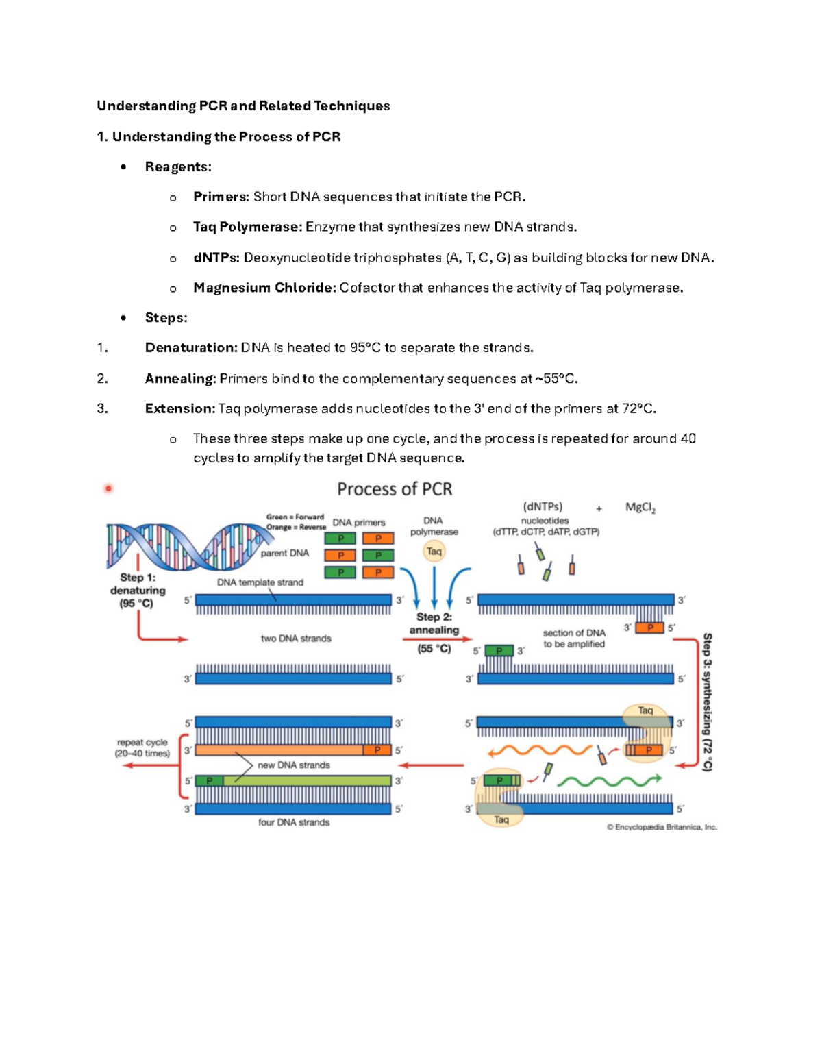 Cycle 10 - Understanding PCR and Related Techniques Understanding the ...