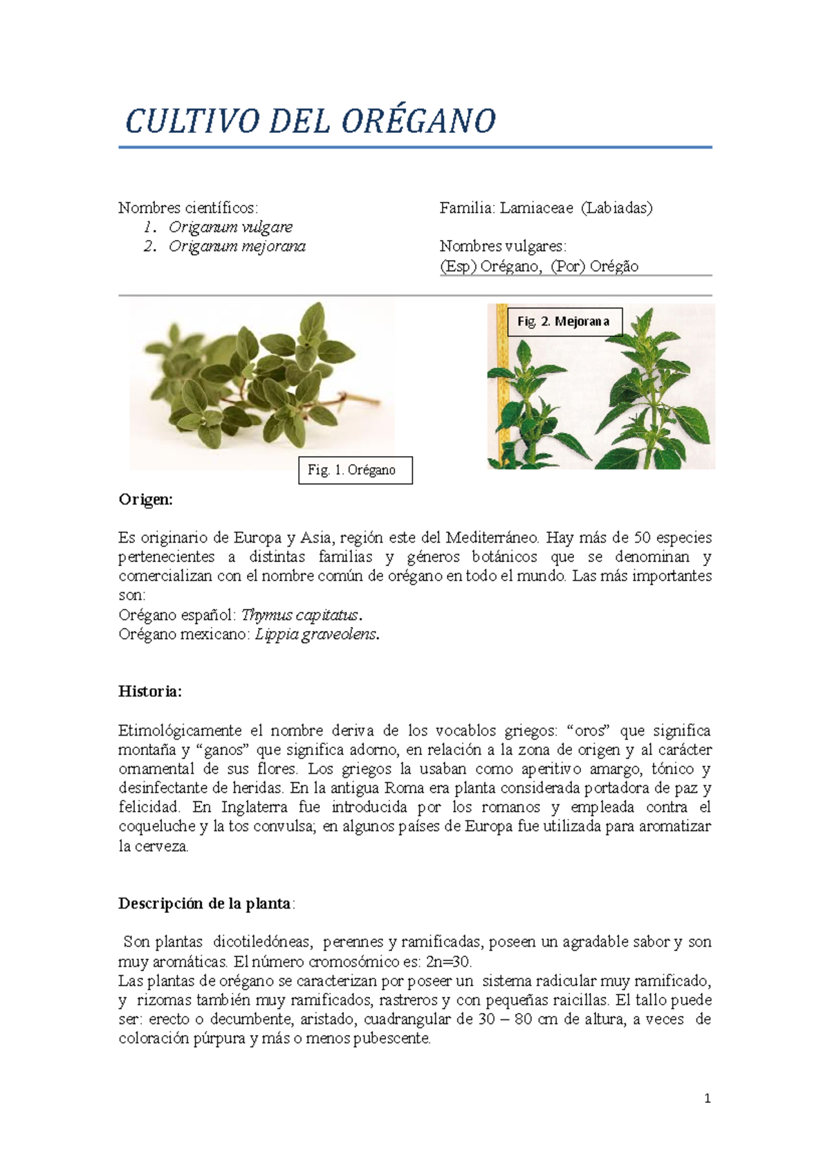 Oregano CULTIVO DEL ORÉGANO Nombres científicos 1. Origanum vulgare