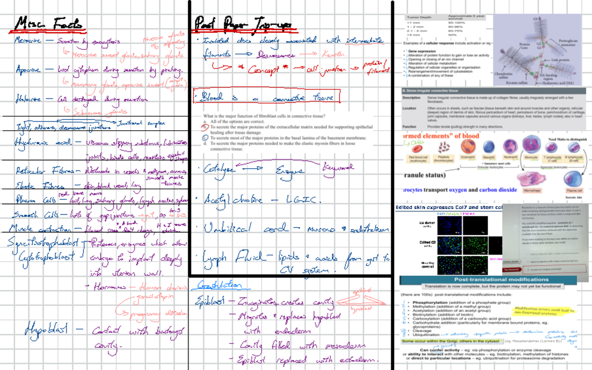 Biosci 107 Cheat Sheet midterm - ####### P Mesoto glads , salung ...